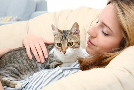 Кошки обычно чувствуют приближающуюся болезнь хозяина. фото 3