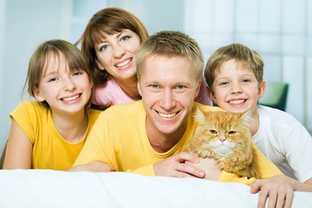 Очень остро кошки и коты реагируют на семейные конфликты, пытаясь любыми способами восстановить энергетический баланс в доме. фото 4